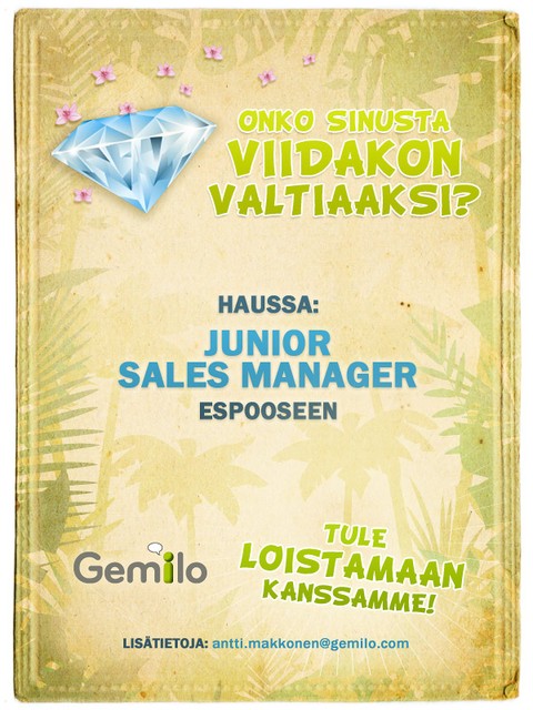 Junior Sales Manager, Espoo